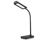 LED Desk Lamp